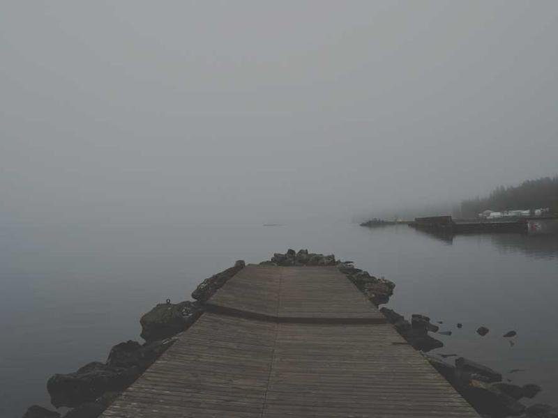 Pakistani qawwali music performance and cultural arts events